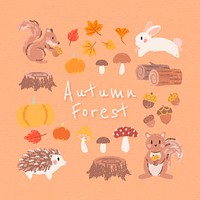 Autumn design elements vector set