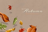 Autumn leaves brown background template vector