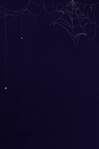 Spider web blue background template vector