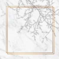 Square gold frame with floral shadow on white marble background vector