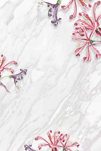 Nerine pattern on a white marble background vector