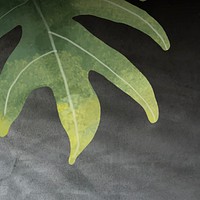 Philodendron radiatum leaf pattern on grunge black background vector