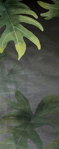 Philodendron radiatum leaf pattern on grunge black background vector