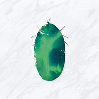 Cute watercolor jewel beetle vector