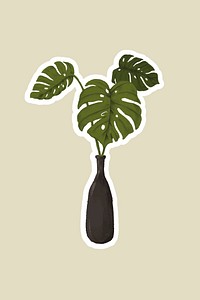 Swiss cheese plant in a vase sticker vector