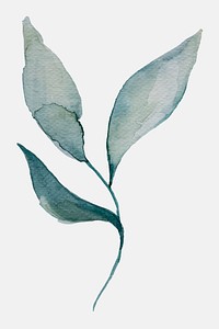 Hand painted watercolor green leaf vector