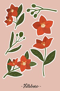 Red hellebore flower set illustration
