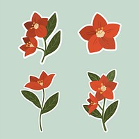Red hellebore flower set vector
