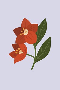 Red botanical on a purple background vector