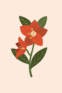 Red botanical on a creamy background illustration