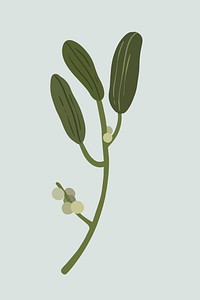 Mistletoe plant on a gray background vector