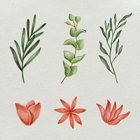 Hand drawn floral set illustration