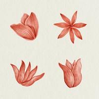 Hand drawn red flower set illustration