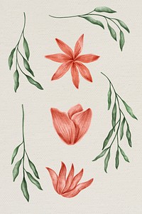 Hand drawn floral set vector