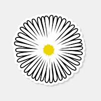 Hand drawn white common daisy flower illustration