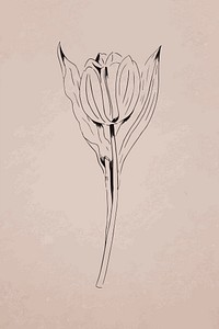 Hand drawn tulip vector