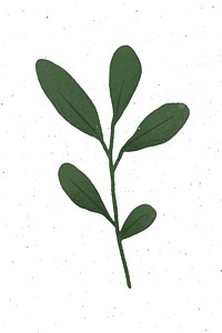 Branch with green leaves design element