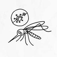 Coronavirus cannot be transmitted through mosquito bites vector