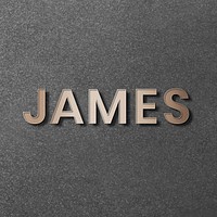 James typography in gold design element vector