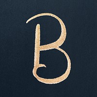 Letter B brush stroke vector typography font