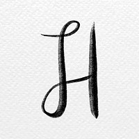 Letter h brush stroke vector typography font