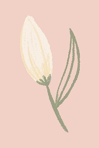 Lily white flower sticker psd hand drawn illustration
