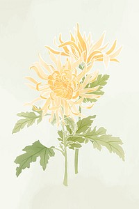 Hand-drawn chrysanthemum flower vector design element