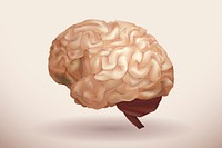 Engraving brown human brain medical illustration