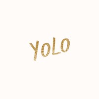 Doodle yolo text vector in glitter gold font