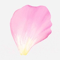 Pink flower petal illustration vector