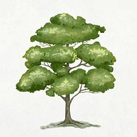 Elm tree element graphic vector on plain background