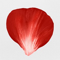 Red flower petals in gray background 
