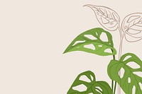 Tropical background monstera swiss cheese plant illustration