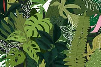 Houseplant background leaf botanical illustration