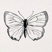 Ink line butterfly, beautiful animal illustration 