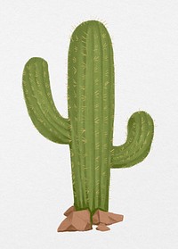 Cactus, desert plant, watercolor illustration psd