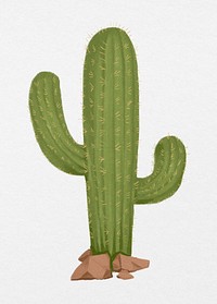 Cactus, desert plant, watercolor illustration