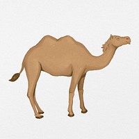 Camel sticker, watercolor animal illustration psd