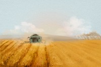 Agriculture aesthetic background, watercolor field illustration