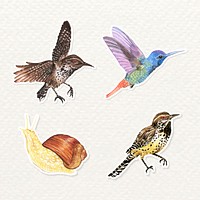 Watercolor bird and snail  sticker vector set