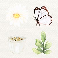 Butterfly and succulent vector set