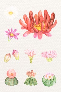 Hand-drawn cactus flower psd sticker collection