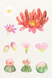 Colorful desert cactus flower vector sticker set