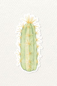 Pilosocereus alensis cactus hand drawn vector png