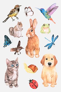 Animals and insects watercolor element collection