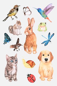Cute watercolor animals and insects psd sticker set