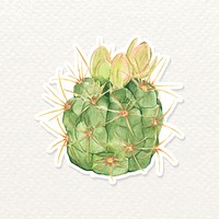Cactus watercolor sticker vector