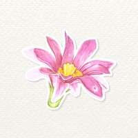 Flower watercolor sticker png