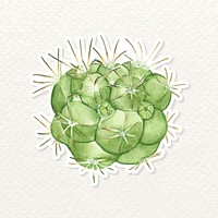 Pincushion cactus watercolor sticker vector