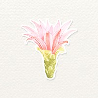 Spider cactus flower watercolor sticker vector